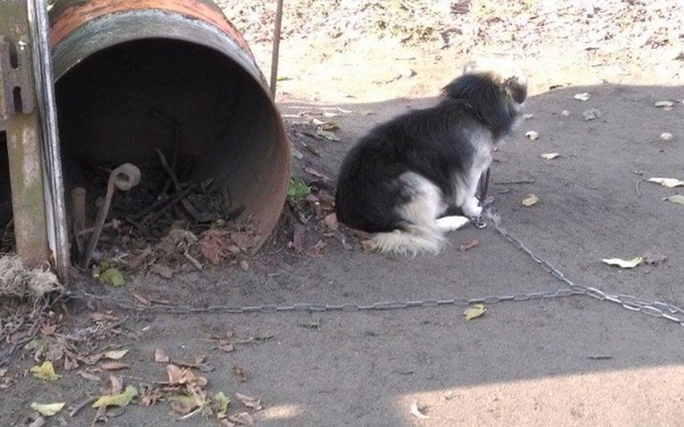 
        Zbiórka Podaruj BUDĘ NA ZIMĘ. Wymieniamy - zdjęcie główne
    