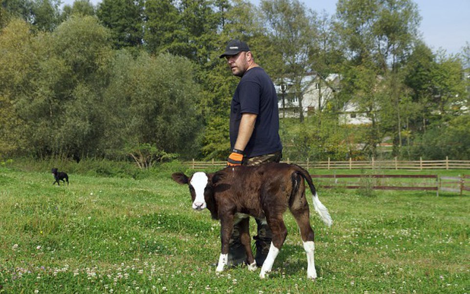 
        Zbiórka Uratujmy go przed śmiercią! - zdjęcie główne
    