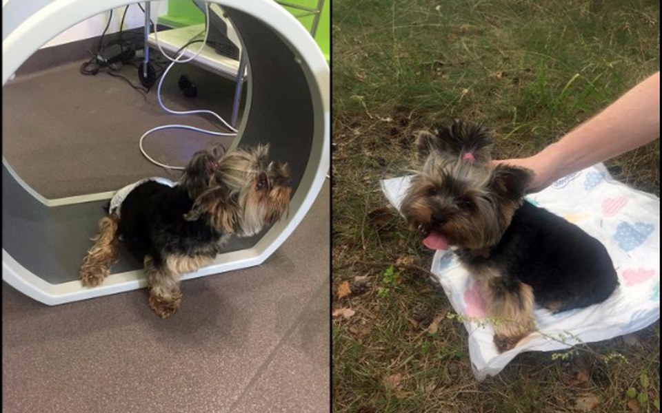 
        Zbiórka Bym mogła samodzielnie chodzić! - zdjęcie główne
    