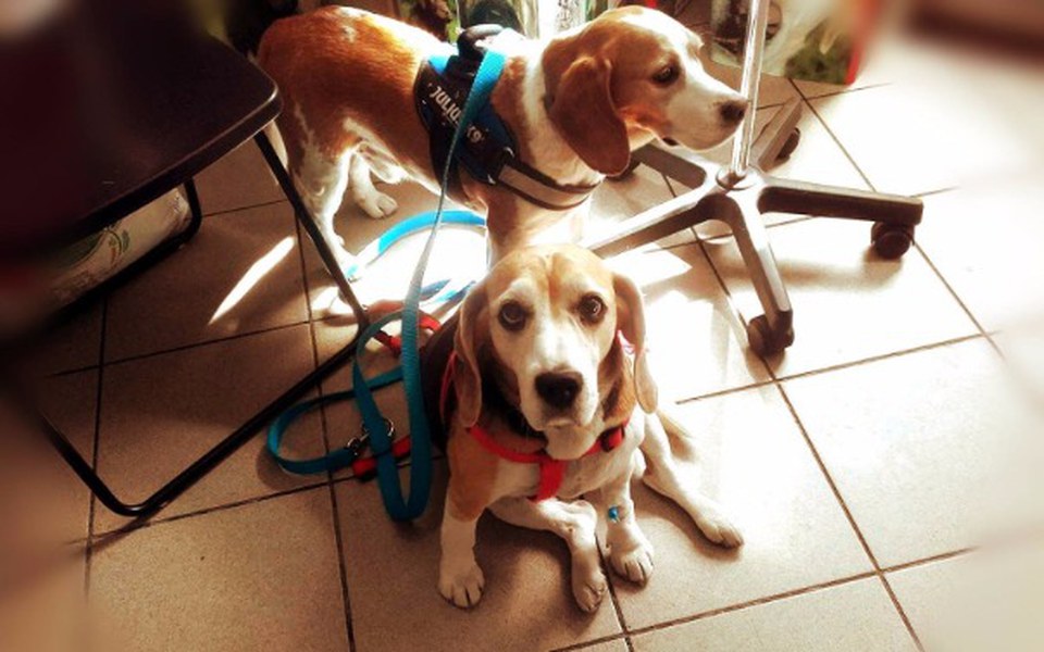 
        Zbiórka Druga operacja Roksany - zdjęcie główne
    