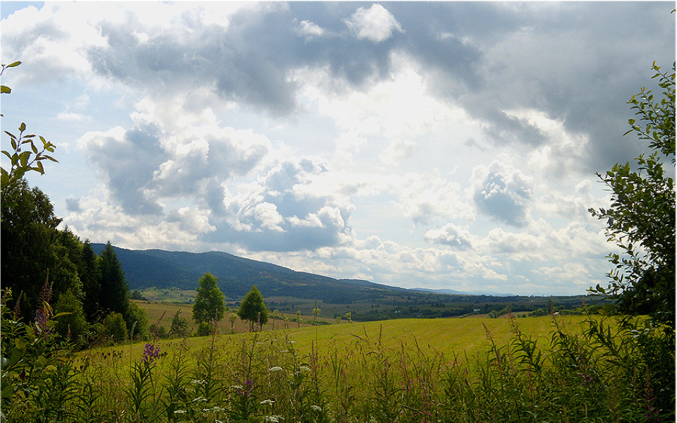 
        Zbiórka Pomóż nam ukończyć projekt. - zdjęcie główne
    