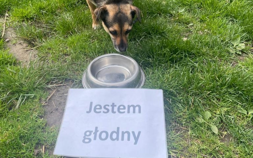 
        Zbiórka Karma na czerwiec - zdjęcie główne
    