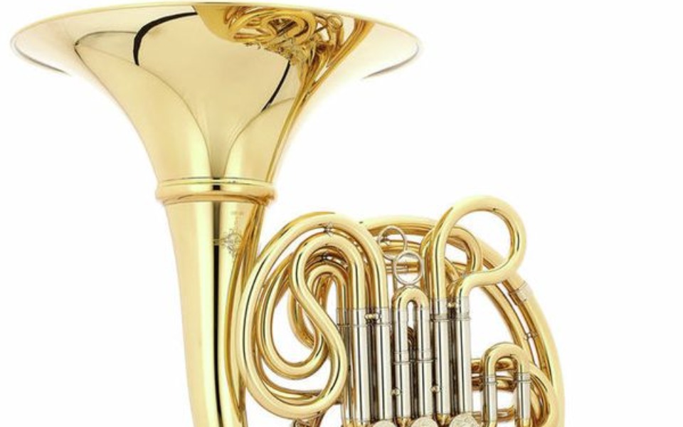 
        Zbiórka Waltornia dla młodego talentu... - zdjęcie główne
    