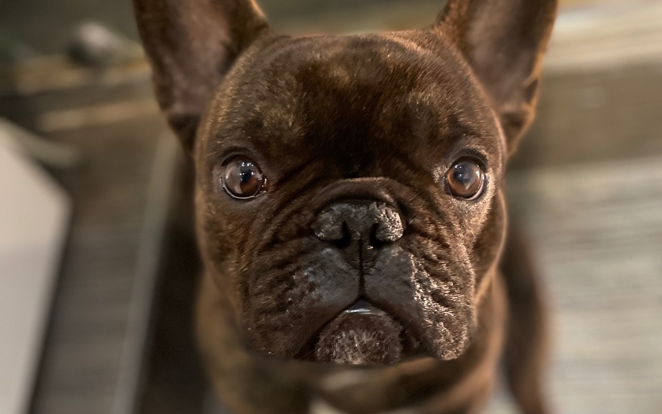 
        Zbiórka LUIS-operacja kregosłupa - zdjęcie główne
    