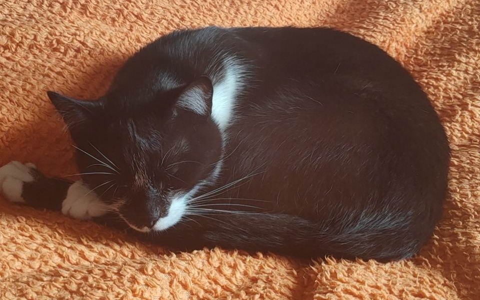 Zbiórka Żeby Maniek mógł stanąć na nogi - zdjęcie główne