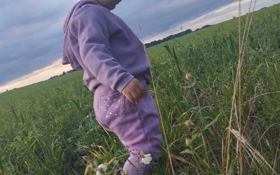 
        Zbiórka Opłacenie kursu na prawo jazdy - zdjęcie główne
    