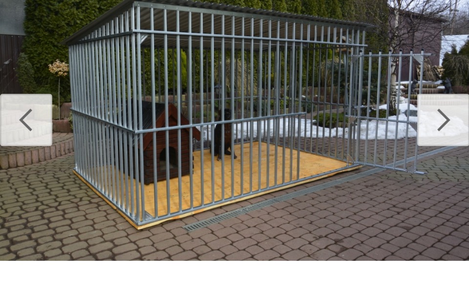 Zbiórka Na kojec dla bezdomnych psów - zdjęcie główne