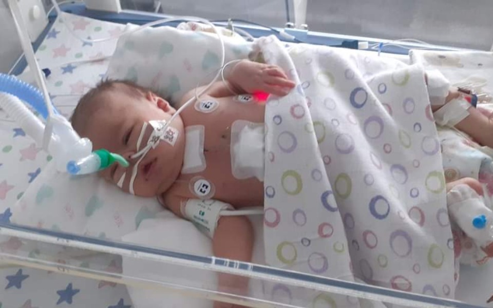 
        Zbiórka Rehabilitacja Wojowniczki Hani - zdjęcie główne
    