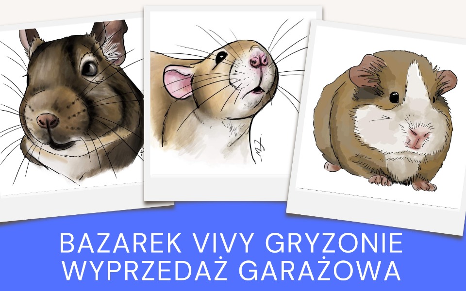 
        Zbiórka Bazarek Viva Gryzonie - zdjęcie główne
    
