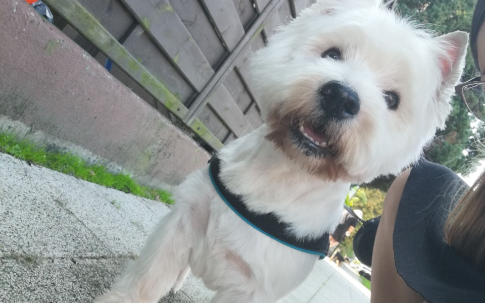 
        Zbiórka Leczenie szpitalne Maciusia - zdjęcie główne
    