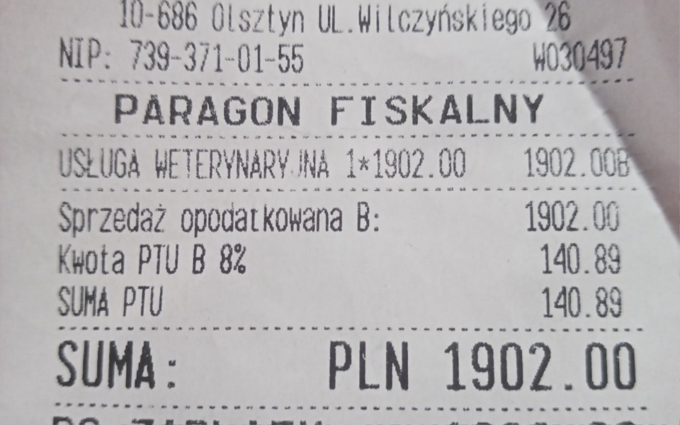 
        Zbiórka Zbiorka na leczenie zębów psa - zdjęcie główne
    