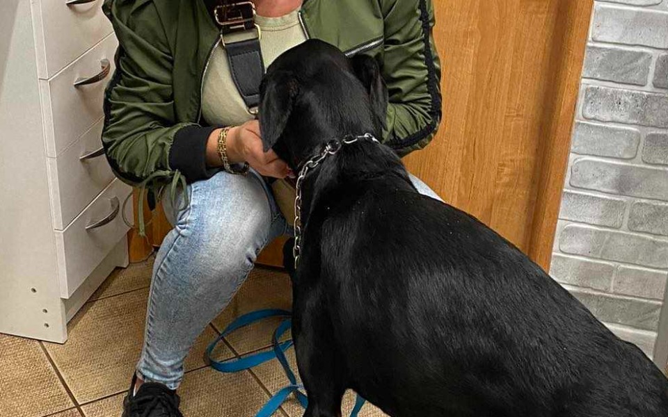 Zbiórka Fajter w drodze o lepsze życie - zdjęcie główne