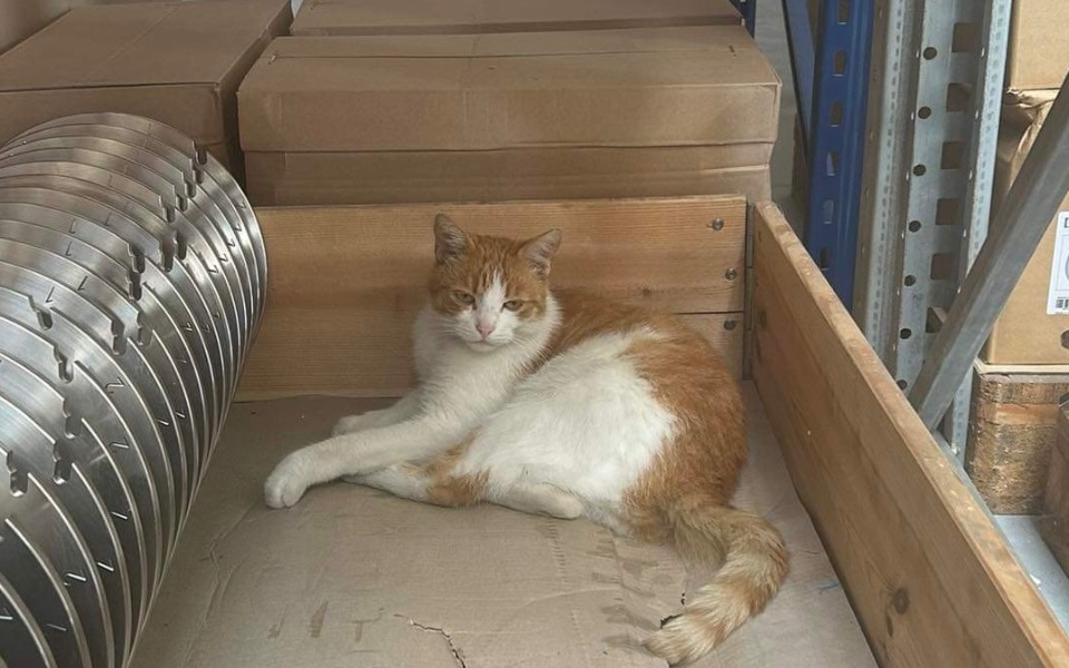 
        Zbiórka Diagnostyka Rudzia z hali magaz. - zdjęcie główne
    