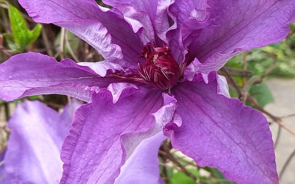 
        Zbiórka Aparat sluchow - zdjęcie główne
    