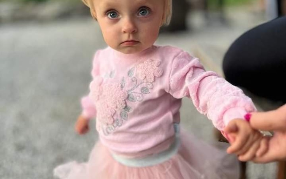 
        Zbiórka Zosia słoneczko - zdjęcie główne
    