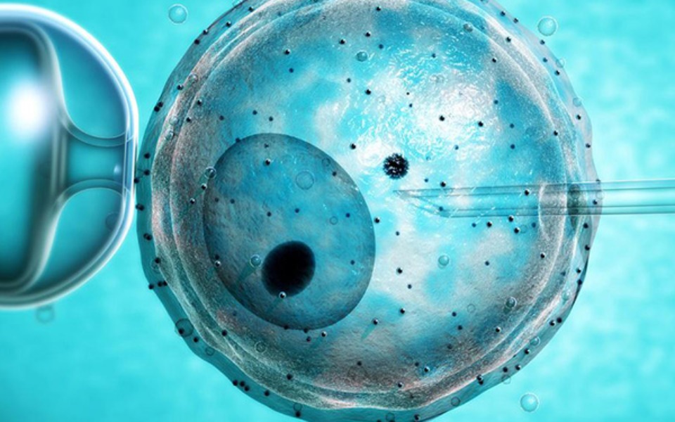 
        Zbiórka Chcemy być rodzicami2 - zdjęcie główne
    