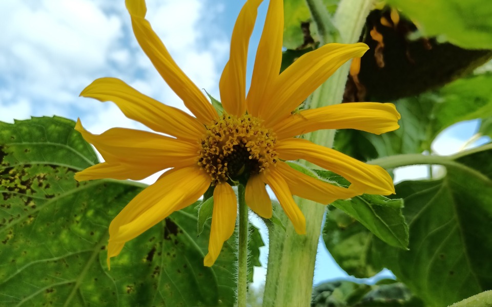 
        Zbiórka Spłata zusu i skarbowki - zdjęcie główne
    