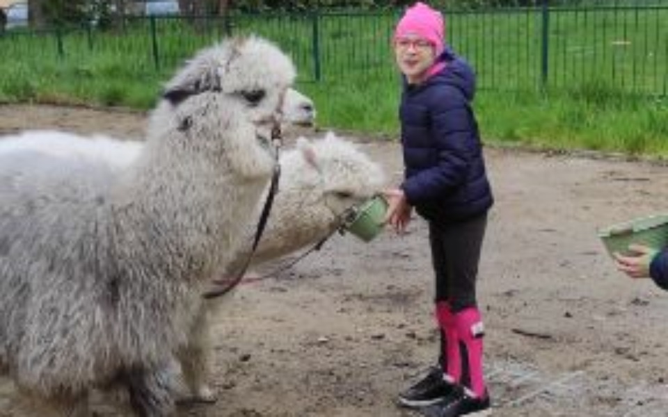 
        Zbiórka Ortezy dla Nikolki - zdjęcie główne
    