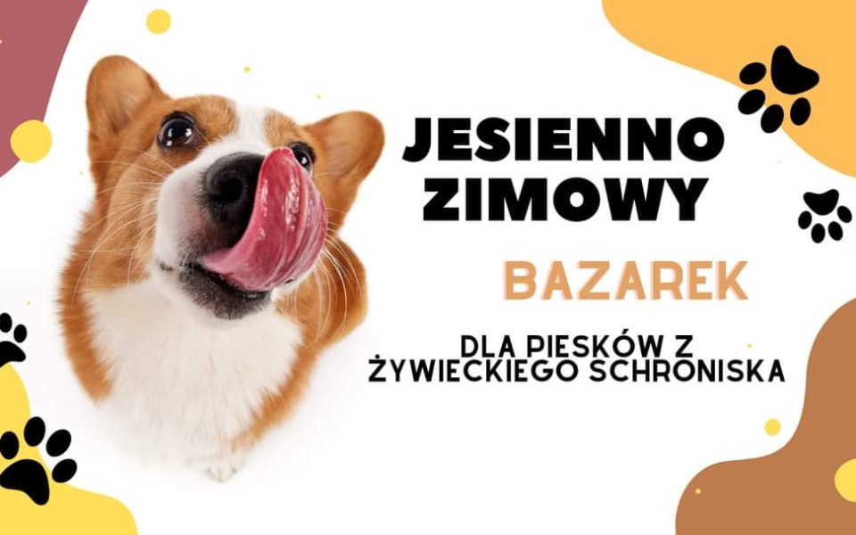 
        Zbiórka Jesienno Zimowy Bazarek dla psów - zdjęcie główne
    