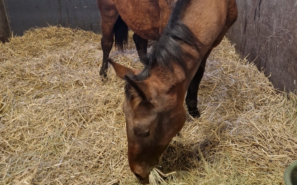 
        Zbiórka Bym odzyskała równowagę - zdjęcie główne
    