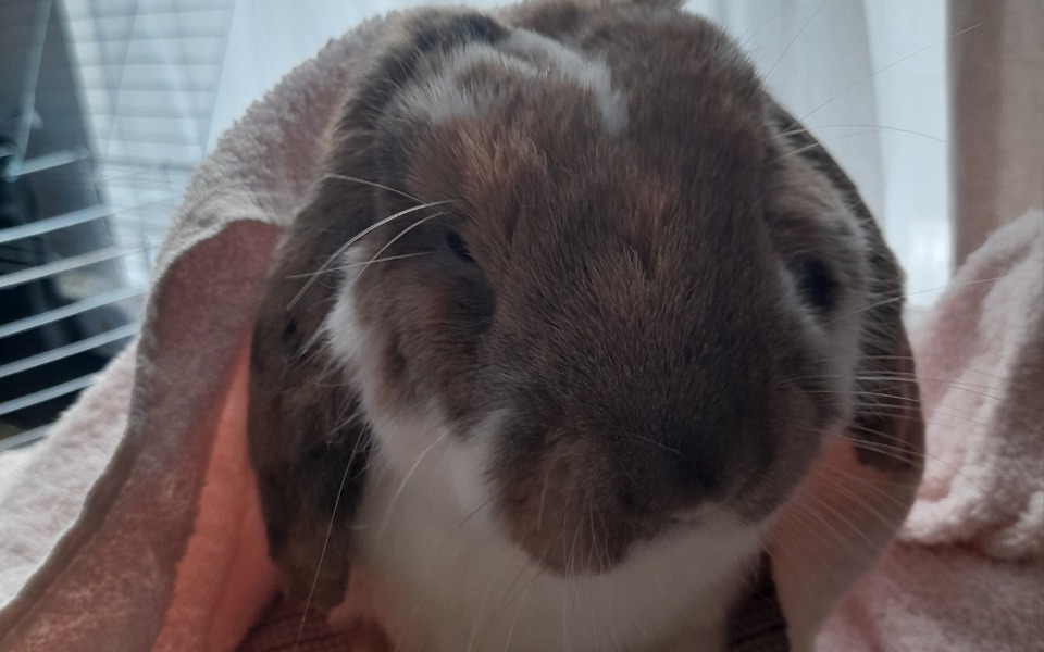 
        Zbiórka Pomóżcie nam wyleczyć Bartusia - zdjęcie główne
    