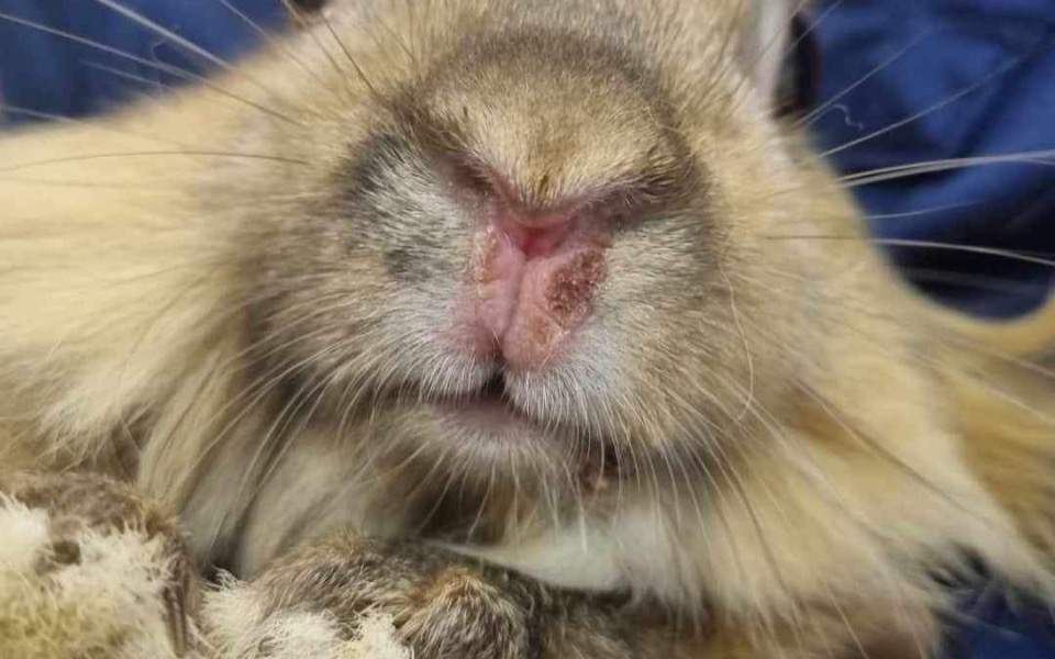 
        Zbiórka PixelZkiłą - zdjęcie główne
    