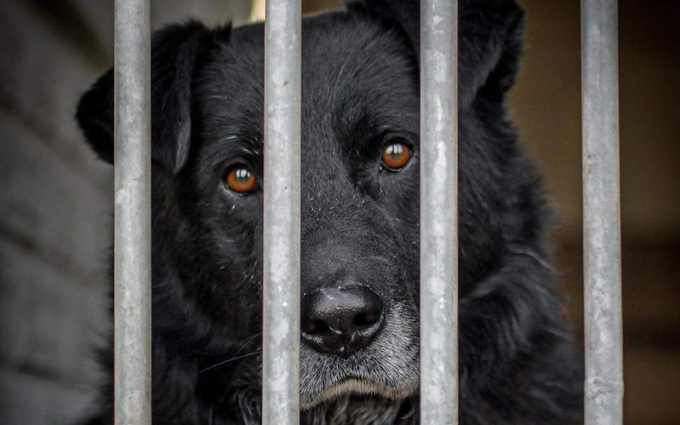 
        Zbiórka Wsparcie dla staruszków - zdjęcie główne
    