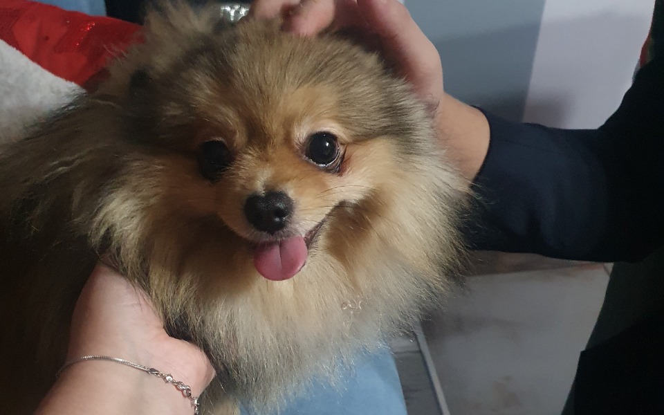 
        Zbiórka Leczenie nerwicy lękowej... - zdjęcie główne
    