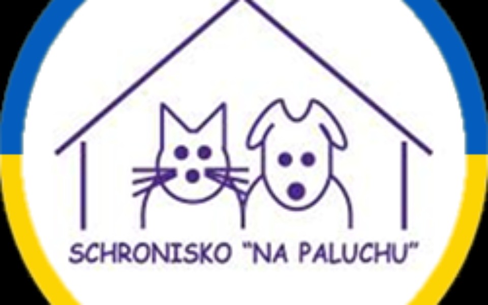 Zbiórka Dla Psich Przyjaciół - zdjęcie główne