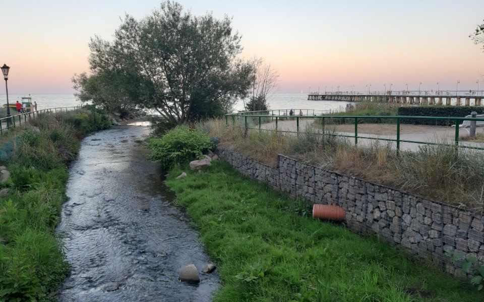 
        Zbiórka chcę się odbić od dna i długów - zdjęcie główne
    