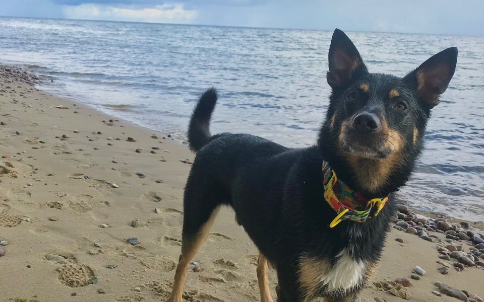 Zbiórka Walka o życie Wentylka - zdjęcie główne