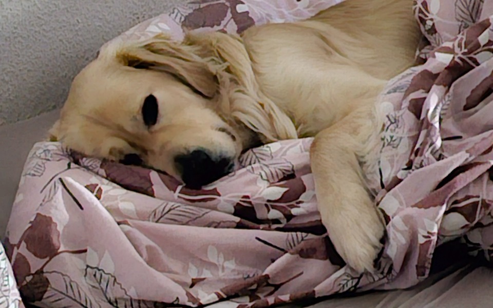 
        Zbiórka Potrzebuje twojego wsparcia - zdjęcie główne
    