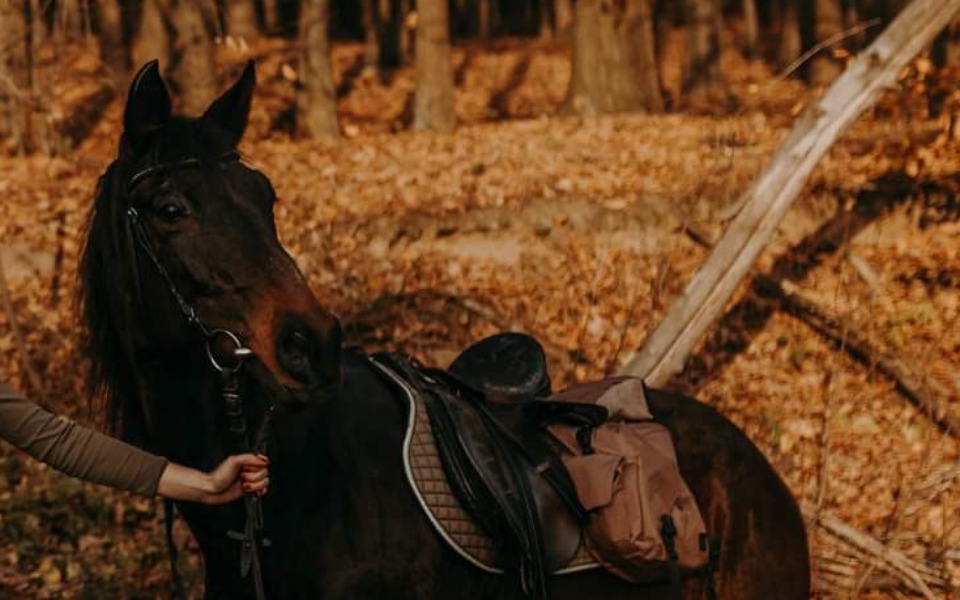 Zbiórka Emerytura dla Galaktyki - zdjęcie główne