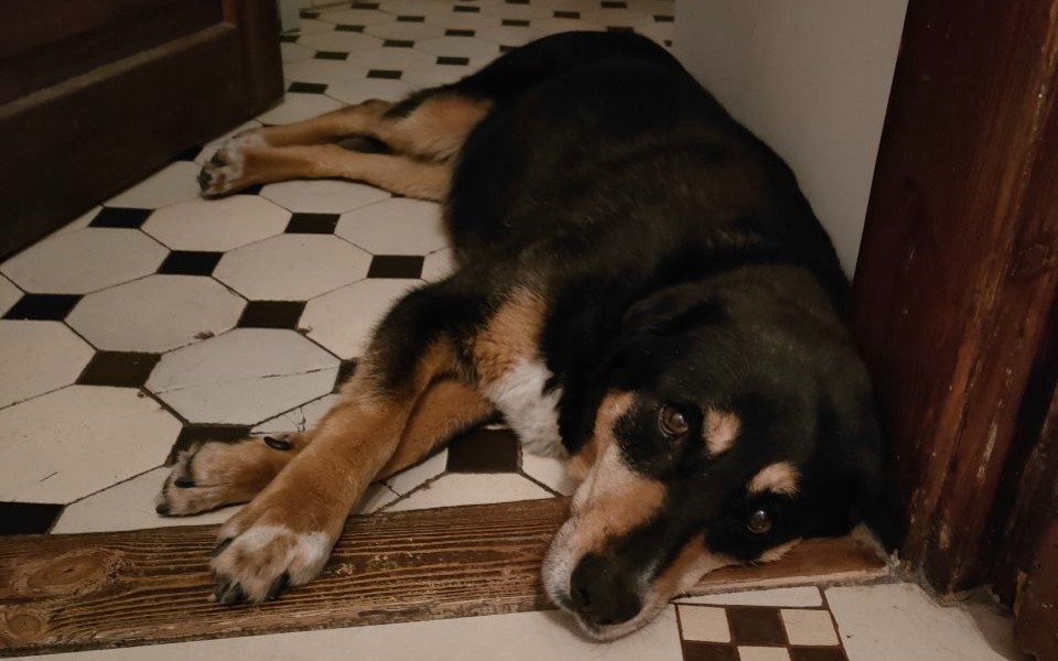 Zbiórka Operacja Kariny - zdjęcie główne