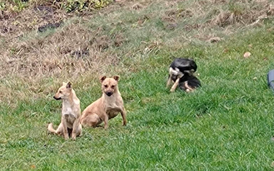 
        Zbiórka Pomóżmy im, idzie zima... - zdjęcie główne
    