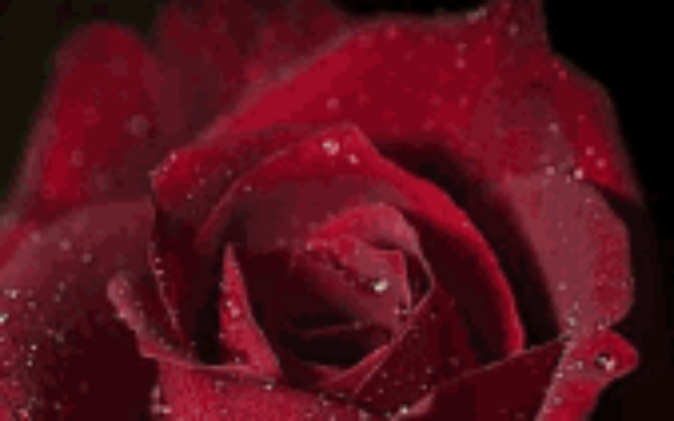 
        Zbiórka Dla samotnej matki z dziecimi - zdjęcie główne
    