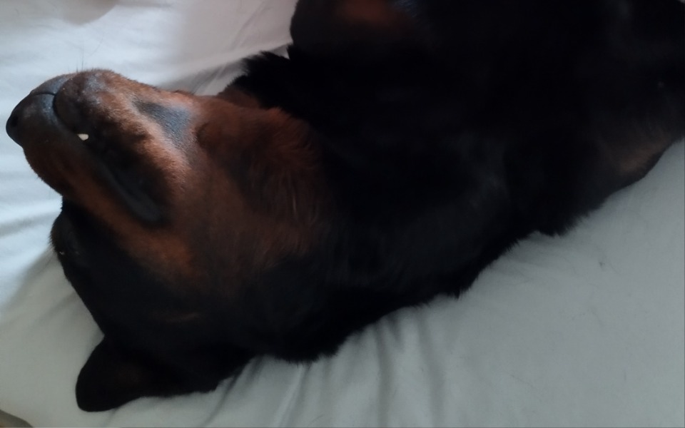 
        Zbiórka Zwyrodnienie stawów boli - zdjęcie główne
    