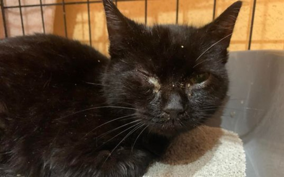 
        Zbiórka Nadzieja małego Stasia. - zdjęcie główne
    