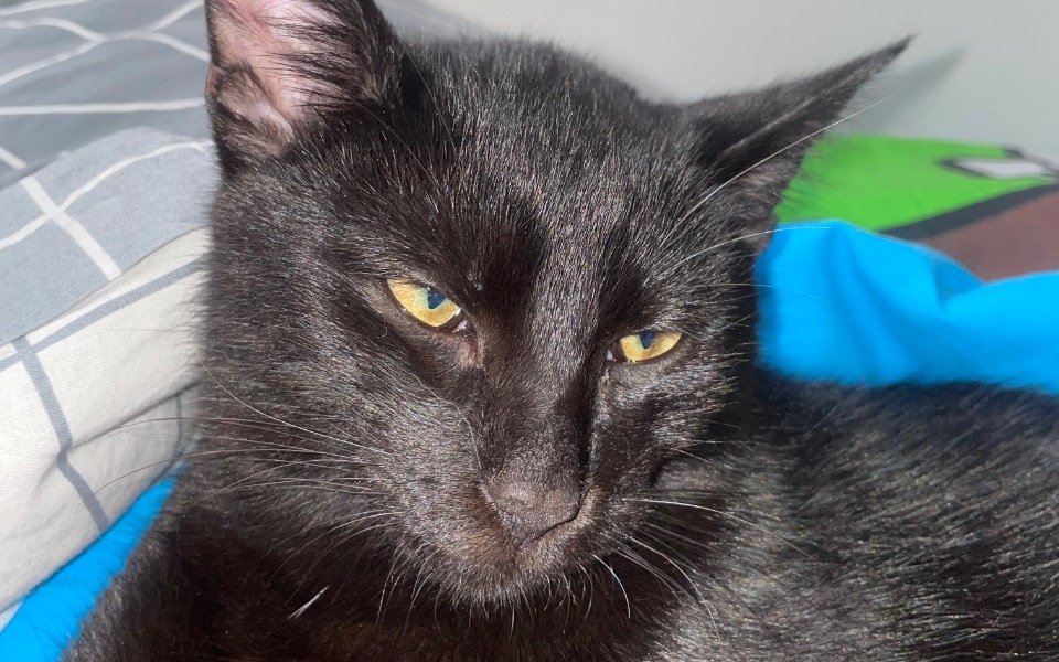 
        Zbiórka spelnienie marzen mlodej osoby.. - zdjęcie główne
    