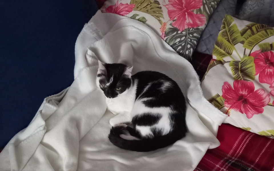 
        Zbiórka BALBINKA Iława - zdjęcie główne
    