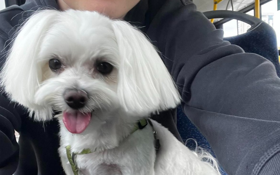 
        Zbiórka Operacja Rori - zdjęcie główne
    