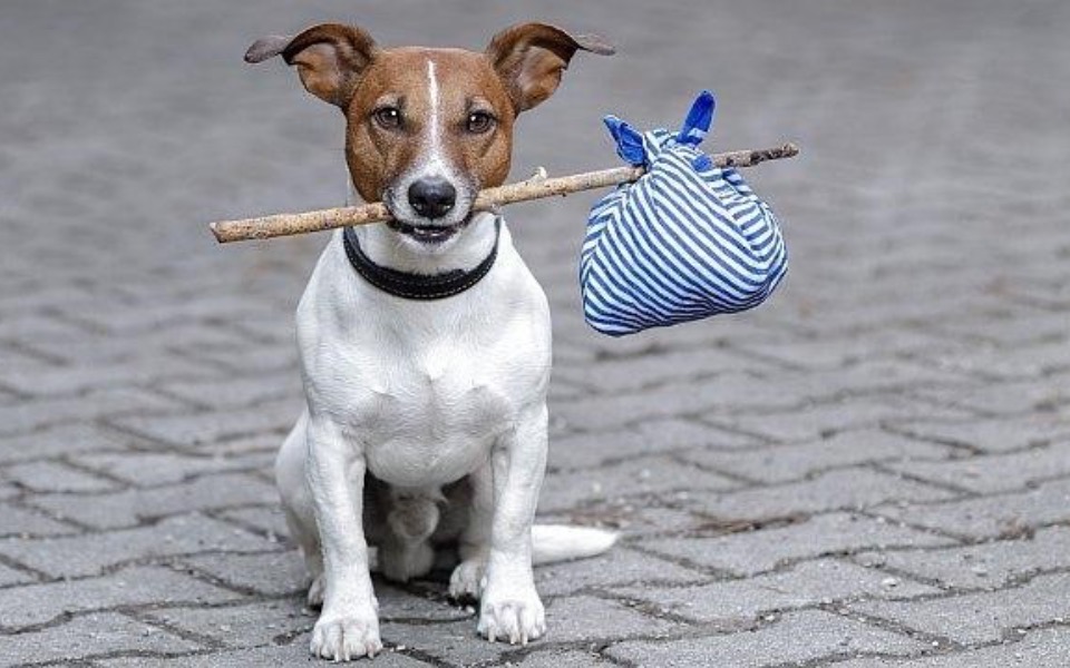 
        Zbiórka Świąteczna zbiórka Kuby - zdjęcie główne
    