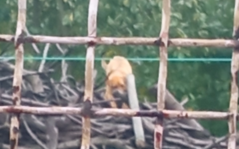 
        Zbiórka Bezdomnosc moja nie zna granic - zdjęcie główne
    