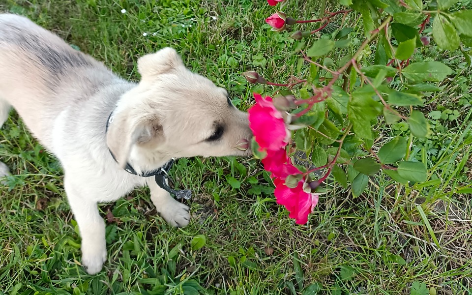 
        Zbiórka Na otwarcie swojego sklepu - zdjęcie główne
    