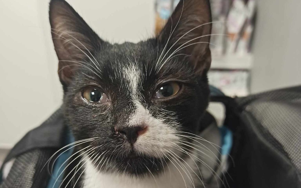 
        Zbiórka Naa lepszy start - zdjęcie główne
    