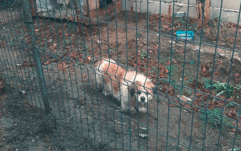 
        Zbiórka Studium samotnego życia - zdjęcie główne
    