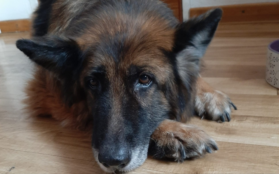 
        Zbiórka Zatrzymać krwotoki - zdjęcie główne
    