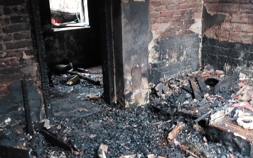 
        Zbiórka Odbudowę pasieki gucio - zdjęcie główne
    