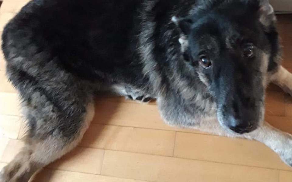 
        Zbiórka Spłata faceta który mnie oszukał - zdjęcie główne
    