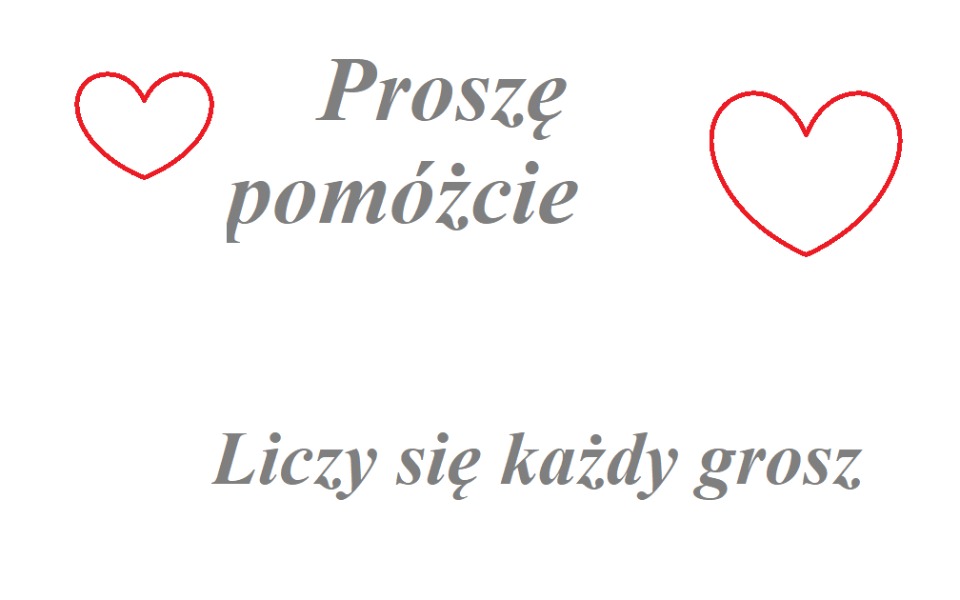 
        Zbiórka Pomoc dla samotnego seniora - zdjęcie główne
    